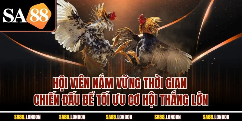 Hội viên nắm vững thời gian chiến đấu để tối ưu cơ hội thắng lớn