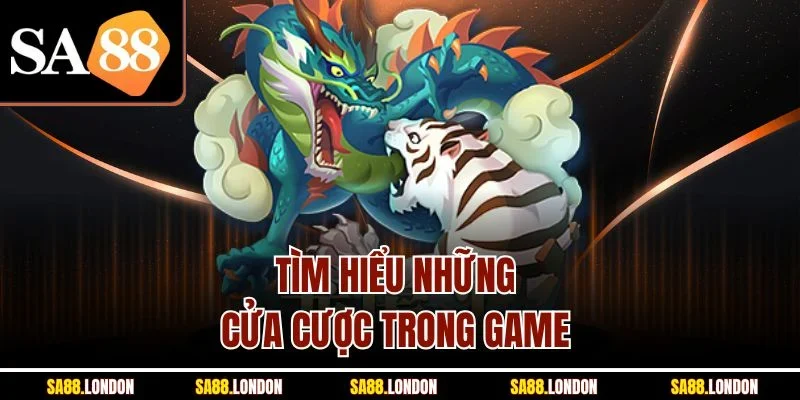 Tìm hiểu những cửa cược trong game 